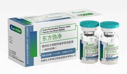 投票倒計(jì)時三天 誰能摘得年度最具影響力獎項(xiàng)？